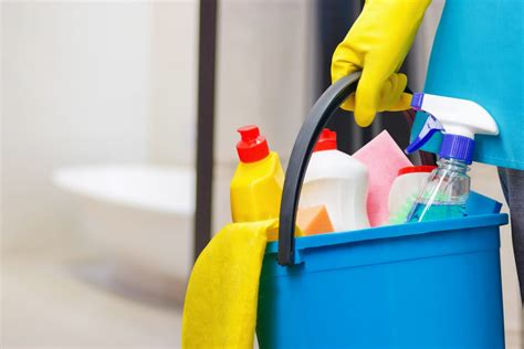 See the Magic Unfold as Our Bathroom Cleaner Cleans on Its Own